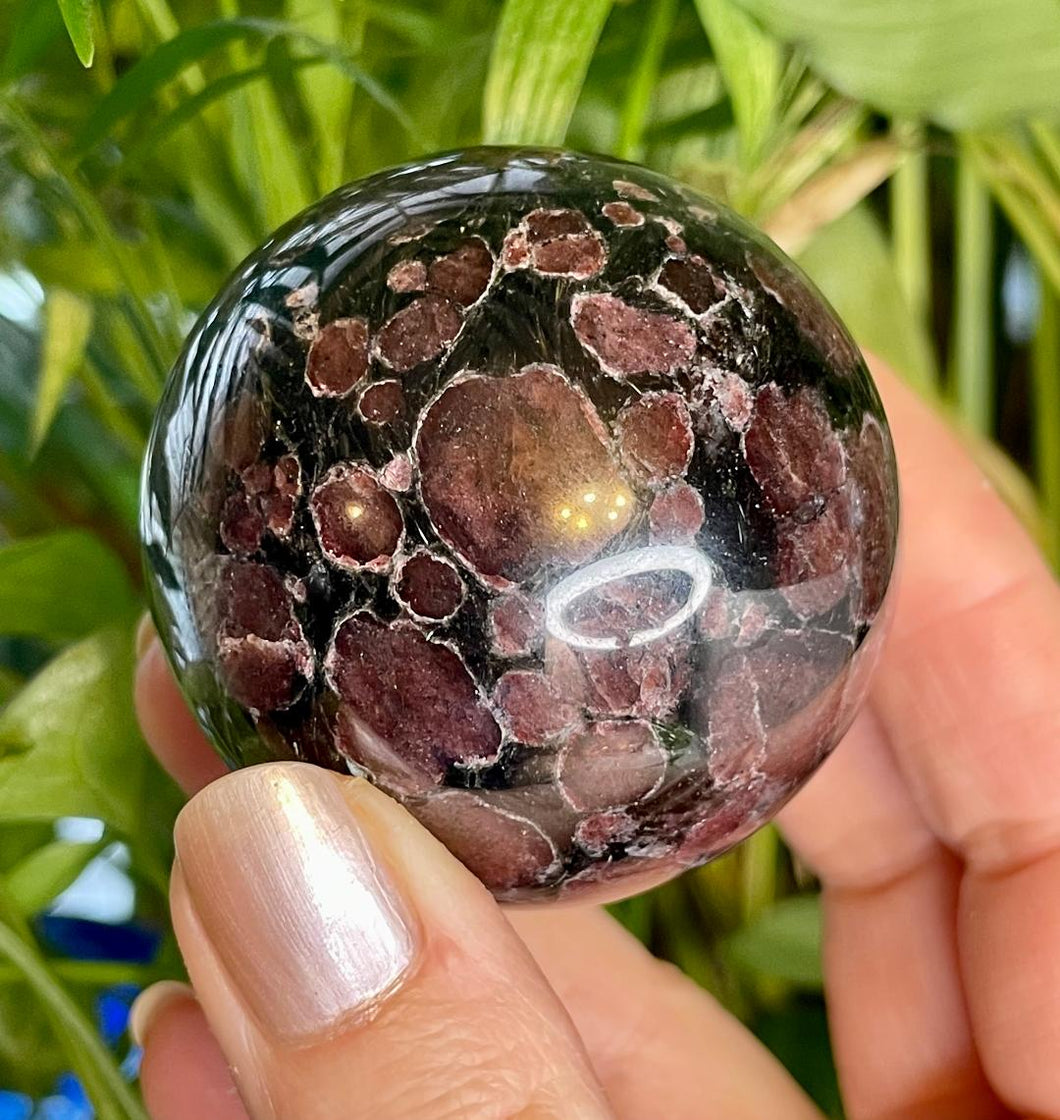 Garnet in Astrophyllite Sphere / Arfvedsonite